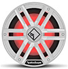 Rockford Fosgate M2D2-10I